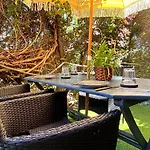 | Garden, Terrace, Nature