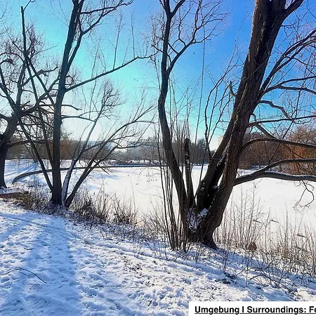 | Garden, Terrace, Nature *