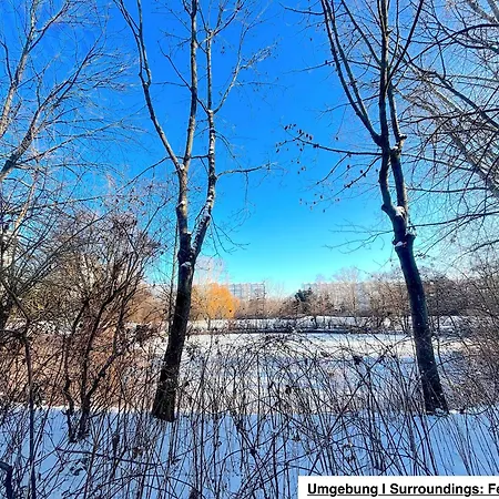 | Garden, Terrace, Nature *