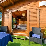 | Garden, Terrace, Nature