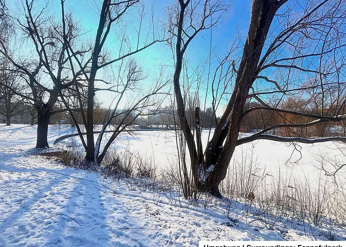 | Garden, Terrace, Nature *