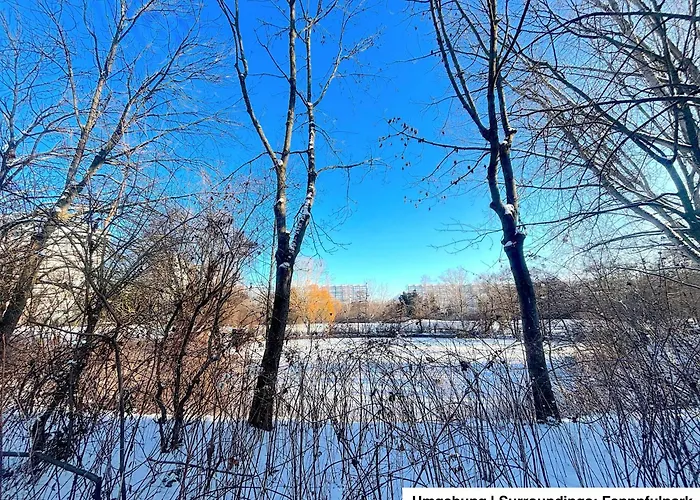 | Garden, Terrace, Nature *